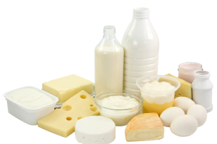 Dairy
