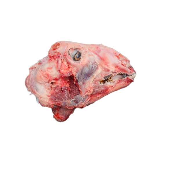 MUTTON HEAD/PCS