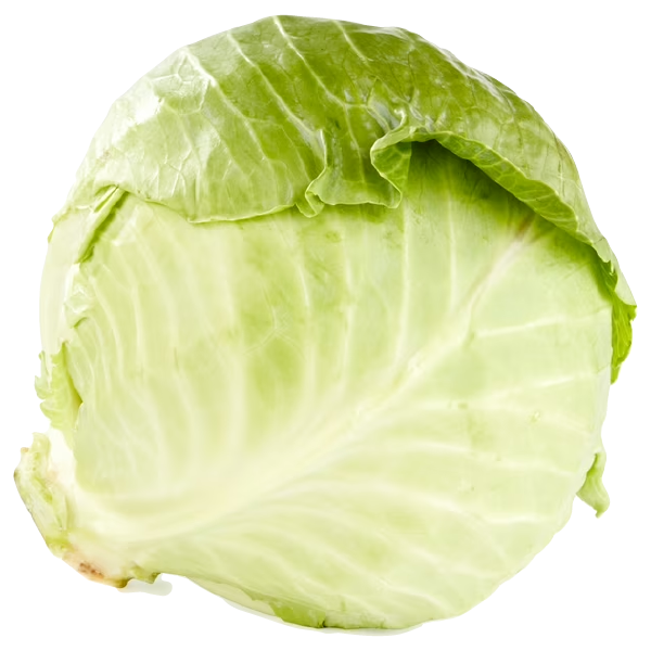 Cabbage -Badha