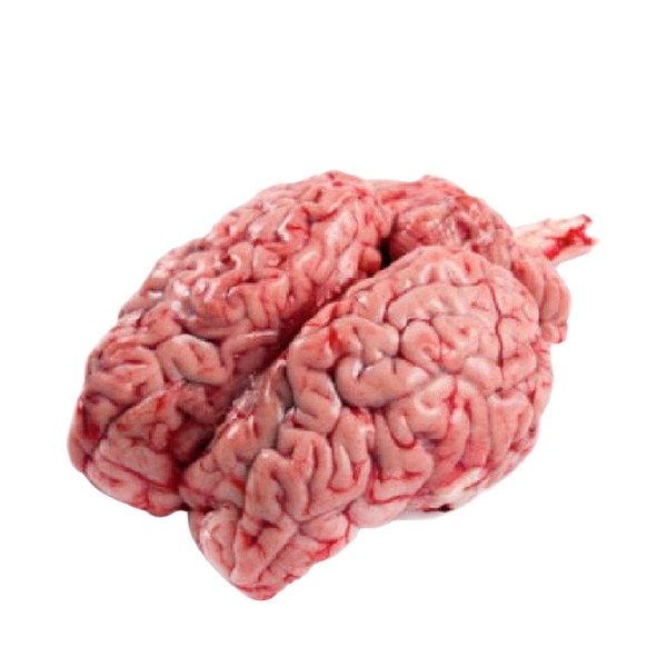 MUTTON BRAIN/PCS