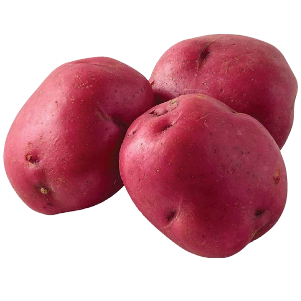 Potato Red