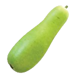 Bottle Gourd