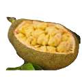 Jackfruit (Kathal)