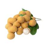 Longan Thai