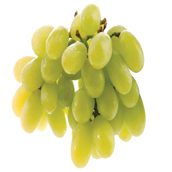 Grapes White