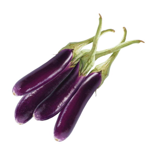 BRINJAL LONG