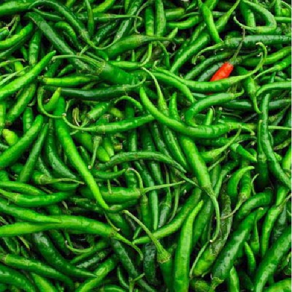 Green chilli