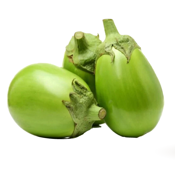 Brinjal White