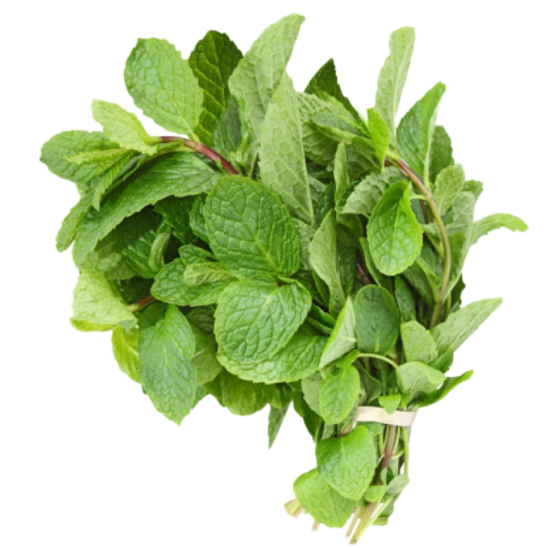 Mint Leaves