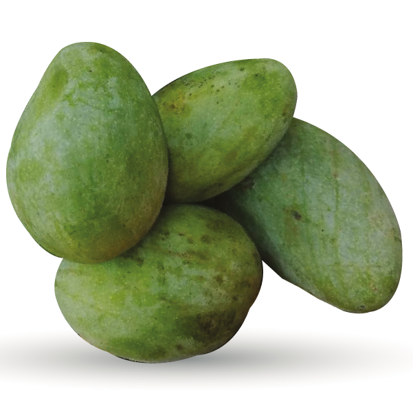 Mango (Aam)