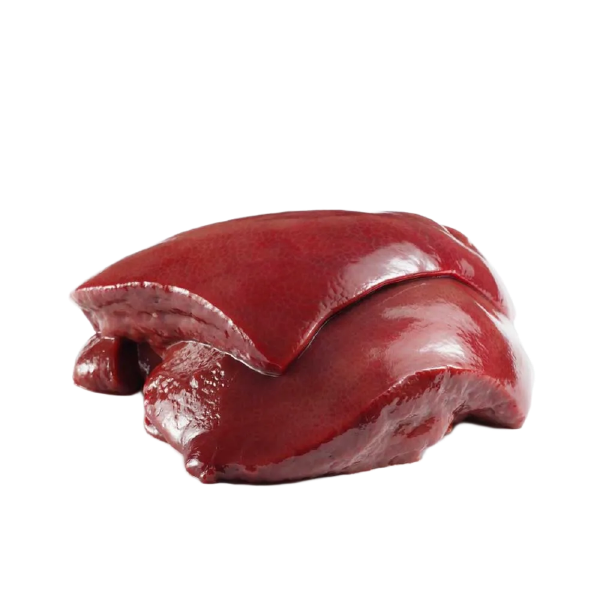 BEEF ORGAN