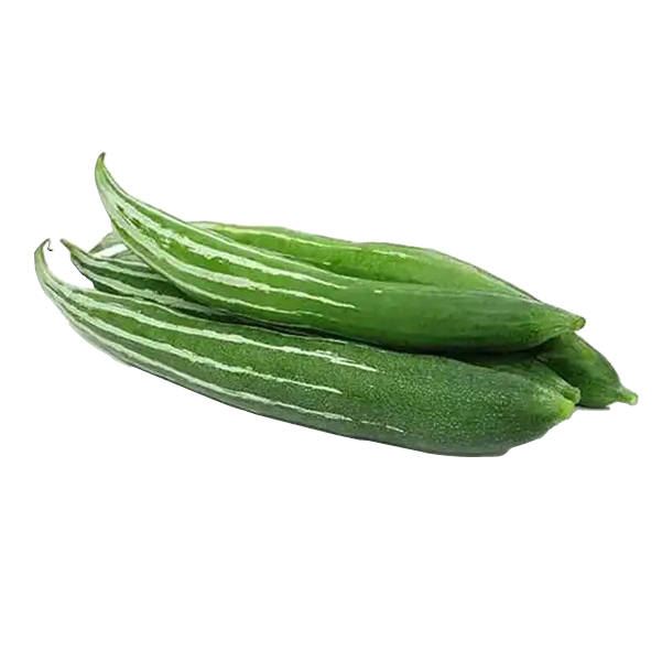 Snake Gourd
