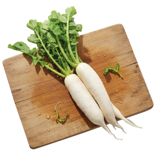 Radish White
