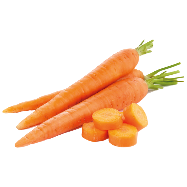 Carrot -Gajor