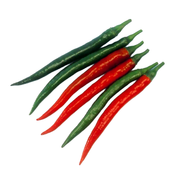 SHIMLA CHILLI