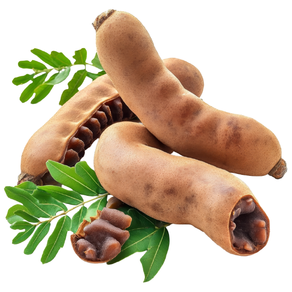 Tamarind Ripen
