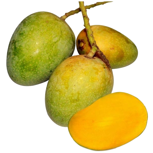 Mango Gobindavog