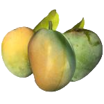 Mango (Aam)