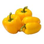 Capsicum Yellow