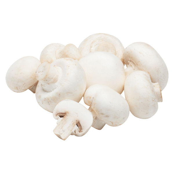 BUTTON MUSHROOM