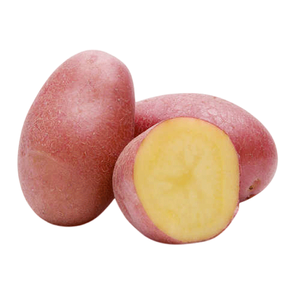 POTATO RED