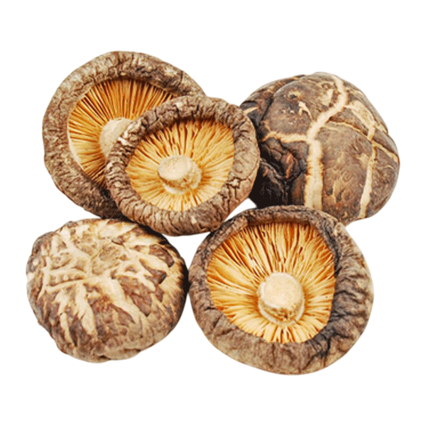 MUSHROOM SHIITAKE