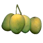 Mango (Aam)