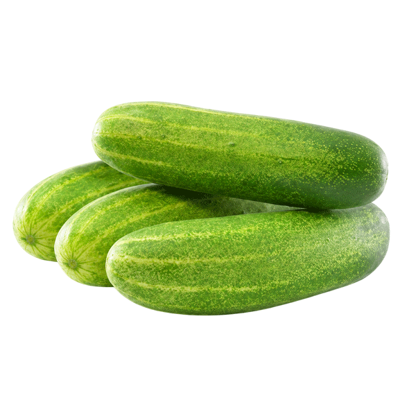 CUCUMBER(DESHI SHOSHA)