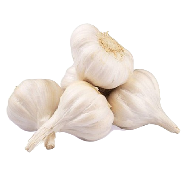 Garlic Local