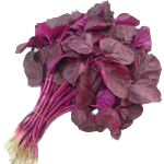 Red Amaranth