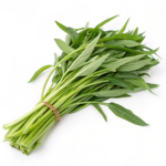 WATER SPINACH