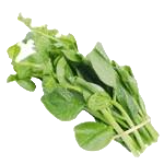 Indian Spinach