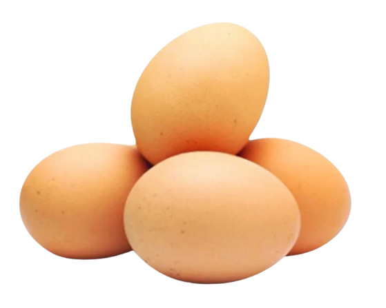 EGG