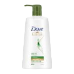 Dove Shampoo